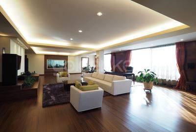 Penthouse cu 5 camere decomandat, mobilat în Herăstrău - 2