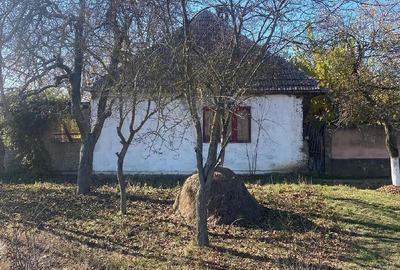 Casă cu Teren 3000 Mp în Central - 3