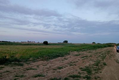 Teren intravilan de 9600 mp, în Ciocănești - 8
