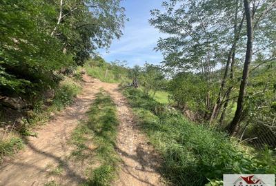 Teren Construcții de 669 mp, în Ampoița - 6