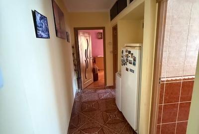 Apartament cu 2 camere semidecomandat în Găvana 3 - 4