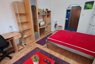 Garsoniera Spatioasa zona Blascovici - 8