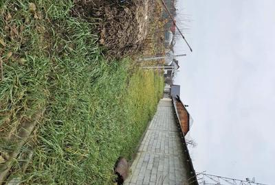 Casă cu 6 camere în Zănești - 1