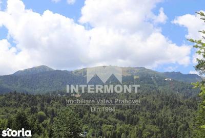 Teren de 278 mp, în Central