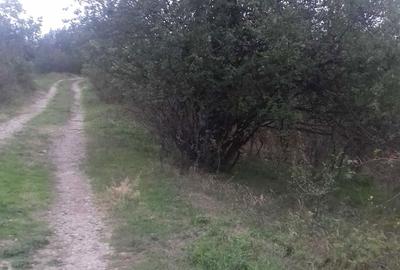 Spațiu comercial, în Cartierul Dâmbu - 1