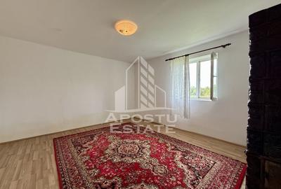 Casa individuala, teren 4000 mp, Cebza - 4