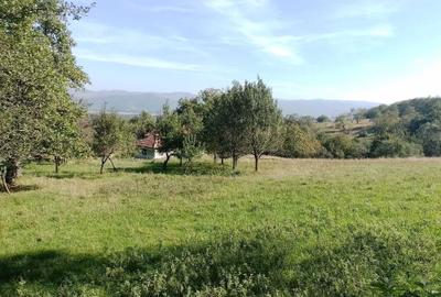 Casă cu 3 camere în Râu Mic - 4