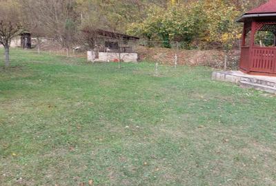 Casă cu 3 camere cu Teren 2000 Mp în Toplița - 1