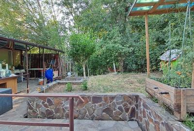 Casă individuală, teren 1.723 mp. garaj și livadă -Grigorescu!! - 12