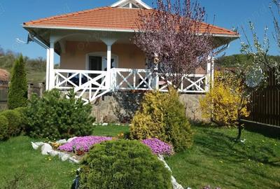 Casa pe un singur nivel - 2