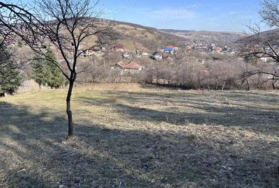 Teren de 5000 mp, în Gârcina - 2