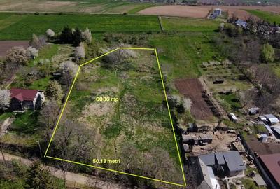 Teren Construcții intravilan de 6092 mp, în Turturești - 1