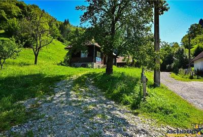 FILM! Casa traditionala pe domeniu de 4.300mp teren, Bran - Simon, Brasov - 15