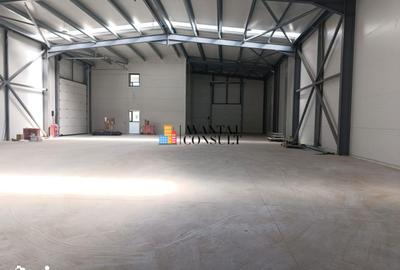 Spațiu comercial, de 598 mp, în Afumați - 10