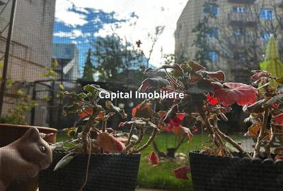 Casă cu 5 camere cu Teren 150 Mp în Malul Mureșului - 7