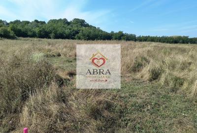 Teren Construcții intravilan de 7500 mp, în Sud-Est - 5