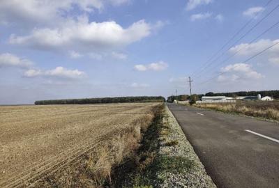 Teren extravilan Varvoru de Jos, jud Dolj - 1