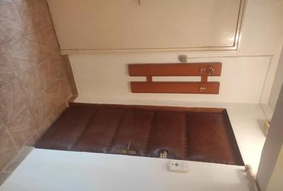 Apartament cu 2 camere decomandat în Bejan - 7