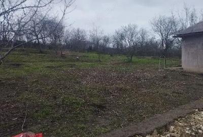 Casă cu 2 camere cu Teren 2500 Mp în Dumbrăveni - 4