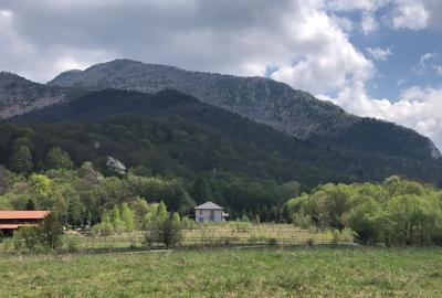 Casă individuală cu 4 camere cu Teren 4150 Mp în Cheile Râșnoavei - 10