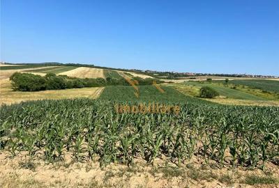 Teren de 2877 mp, în Cordău - 4