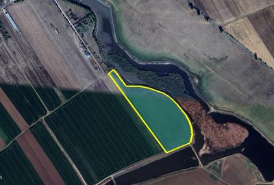 Teren Construcții intravilan de 34000 mp, în Dascălu