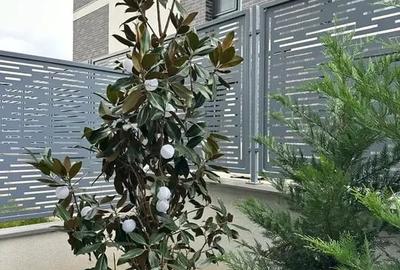 Apartament unic -Malul lacului Straulesti -Curte proprie 40 mp - 3