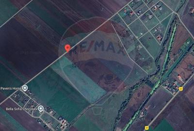 Teren agricol extravilan de 30000 mp, în Hălchiu - 7