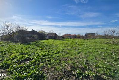 Spațiu comercial, în Ciocârlia - 4