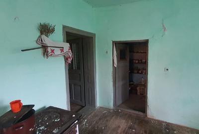 Babța Satu Mare casa si teren de vanzare - 5