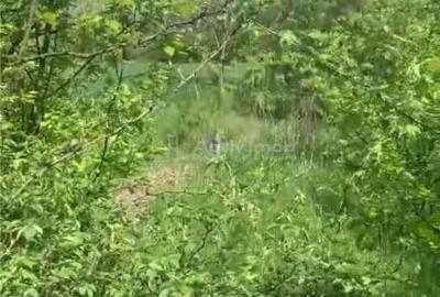 Teren de 500 mp, în Găneasa - 5