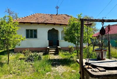 Casă de vânzare cu teren - 12