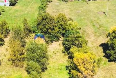 TEREN intravilan 2510 mp BORLE?TI - ?OVOAIA - 7