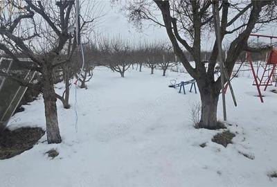 Casă cu 4 camere cu Teren 1303 Mp în Satu Nou - 3