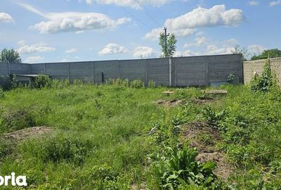 Teren de 300 mp, în Dobroești - 3