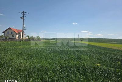 Teren de 2600 mp, în Mitocu Dragomirnei