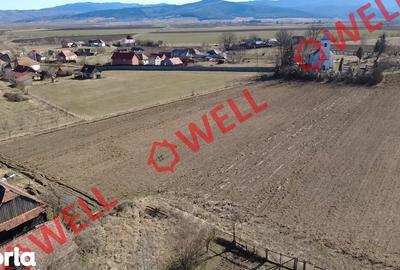 Casă cu 3 camere cu Teren 2407 Mp în Zăbala - 7