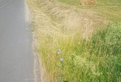 Teren de 7000 mp, în Săliște - 3