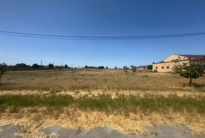 Teren Intravilan, Barateaz-Satchinez - 8