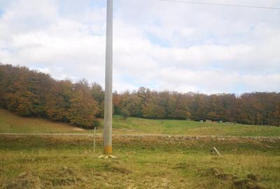 Cheia - zona Valea Ardelei- la intrarea in statiunea Cheia dinspre Ploiesti - 4