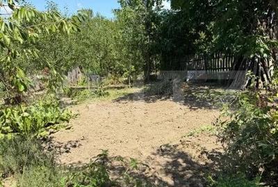 Casa cu teren 1000 m Drajna - 19