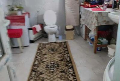 Casa, curte si teren 2780 mp - 2