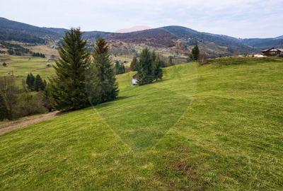 Teren Construcții intravilan de 6500 mp, în Arieșeni - 8