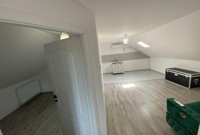 Spatiu comercial tip vila, Serbanesti - 15