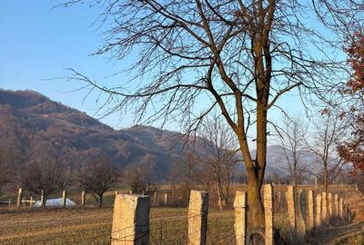 Teren de 3111 mp, în Feldru - 8