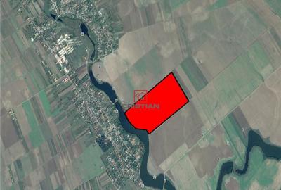 Teren Frumusani - DN4, Calarasi - 2