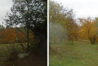 Teren faneata Vizantea Livezi; ID: R2800475 - 16