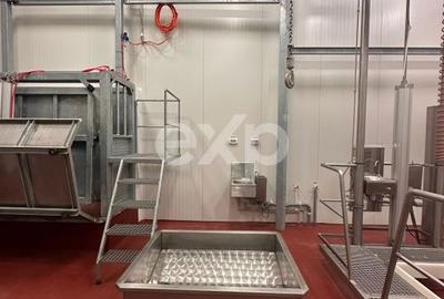 Teren de 105000 mp, în Singureni - 10