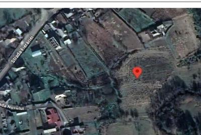 Teren intravilan cota parte 1/4 Tarpesti, ID: R2327012 - 9