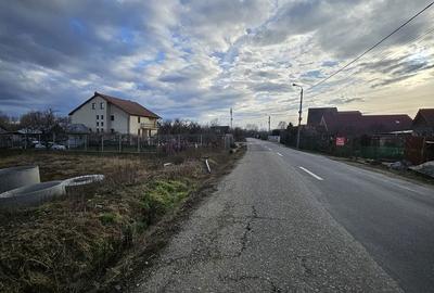 Teren de 500 mp, în Podgoria - 6